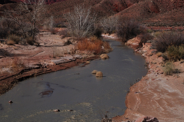 Paria Canyon Trail